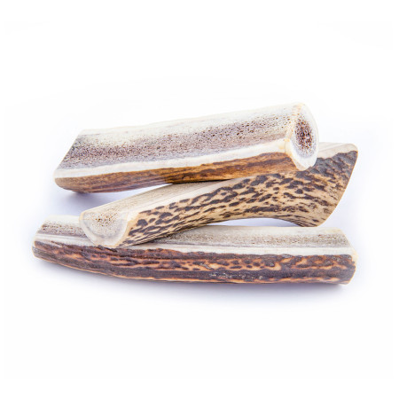 Hračka pre psa Explorer Dog Antler Chew easy