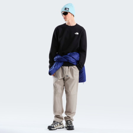 Pánska mikina The North Face M Evolution Box Nse Regular Crew