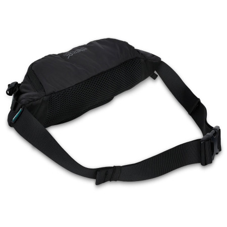 Ľadvinka Regatta Blackfell IV 5L Hip Pack