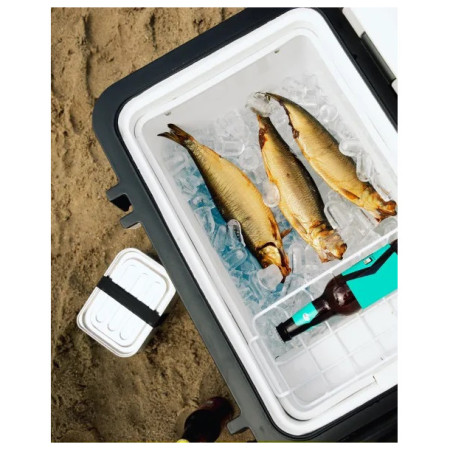 Kompresorová chladnička Mestic Compressor MCCA-42 AC / DC