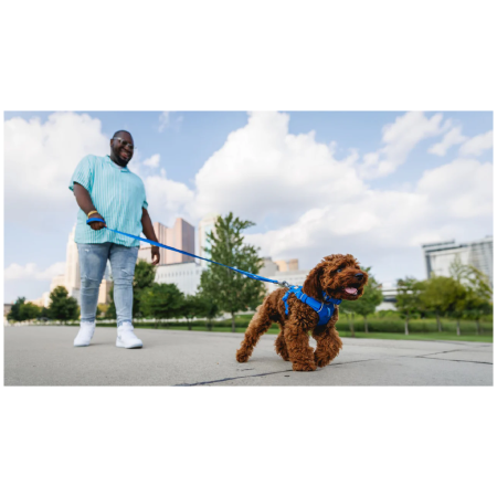 Vôdzka pre psa Ruffwear Front Range™ Leash