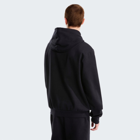 Pánska mikina The North Face M Evolution Simple Dome Regular Hoodie
