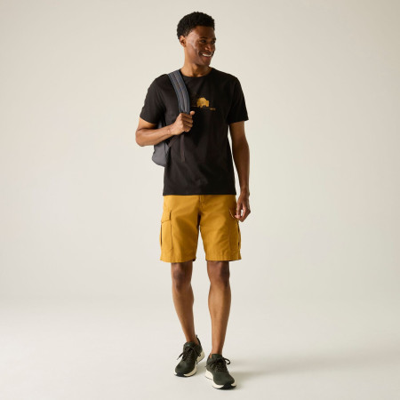 Pánske tričko Regatta Cline IX