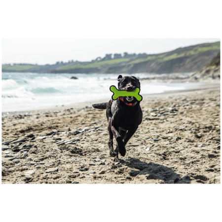 Hračka pre psa Mountain Paws Rubber Bone Dog Toy