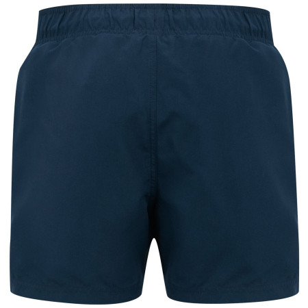 Pánske plavky Regatta Mawson Swim Shorts III