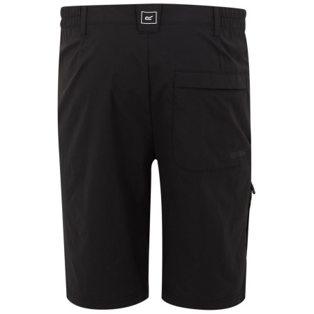 Pánske kraťasy Regatta Highton Shorts Long II