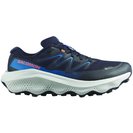 Pánske topánky Salomon Ultra Flow 2 Gore-Tex