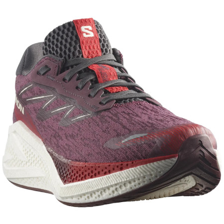 Dámske bežecké topánky Salomon Aero Glide 4