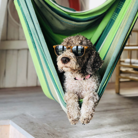 Všetko pre povaľačov