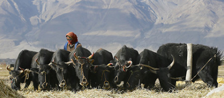 Ozveny Expedičné kamery a Snow film festu na Výstave stanov