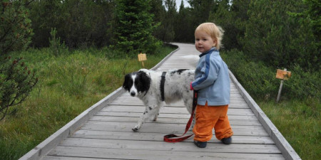 8 tipov, ako deťom spestriť turistiku