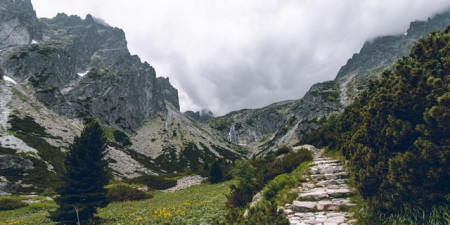 Test: Pánske topánky Salewa MS Wildfire GTX