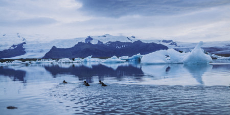 Svadba na Islande - 1. časť