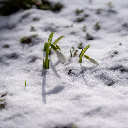 Svieženky - výber noviniek z vybavenia na rok 23