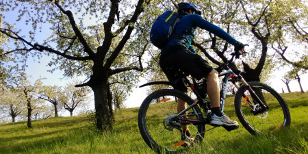 Test: Batoh Deuter Bike I 20