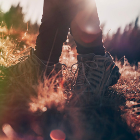  ABY STE NEŠLIAPLI VEDĽA