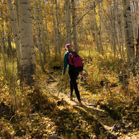 Ceny padajú ako lístie zo stromov