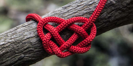 Valentínsky špeciál - produkty k pomilovaniu