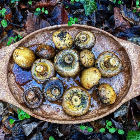 Ako variť v prírode