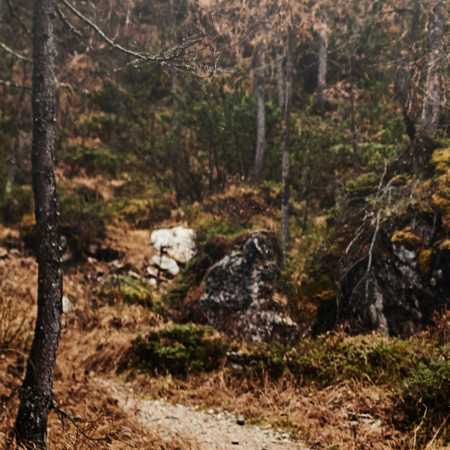 Čo je to bivakovanie 