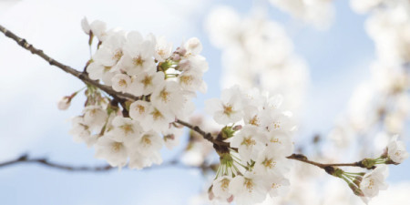 Žarty bokom - svetová premiéra + veľká veľkonočná akcia