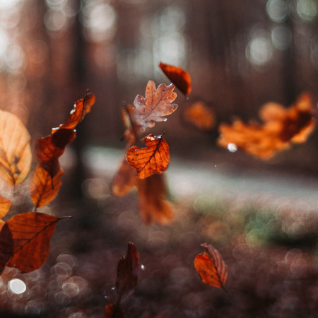 Jesenný cenopád - oblečenie v zľavách až 80 %