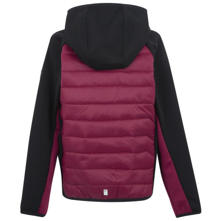 Detská bunda Regatta Kielder Hybrid IX