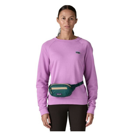 Ľadvinka Patagonia Terravia Mini Hip Pack