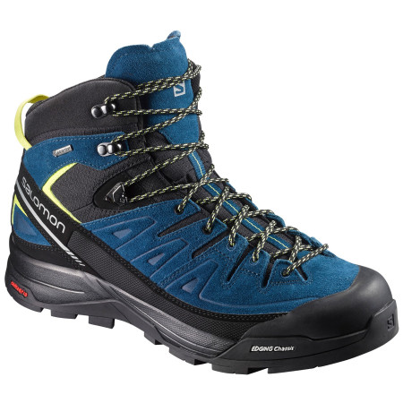 Pánske topánky Salomon X Alp Mid LTR GTX - poseidon