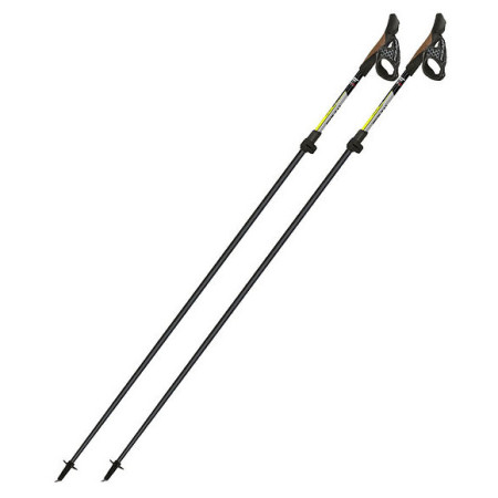 Nordic Walking palice Fizan Tekno