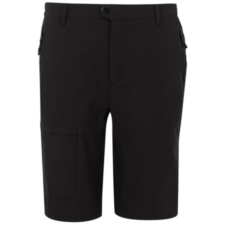 Pánske kraťasy Regatta Highton Shorts Long II