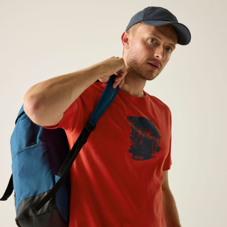 Pánske tričko Regatta Cline IX