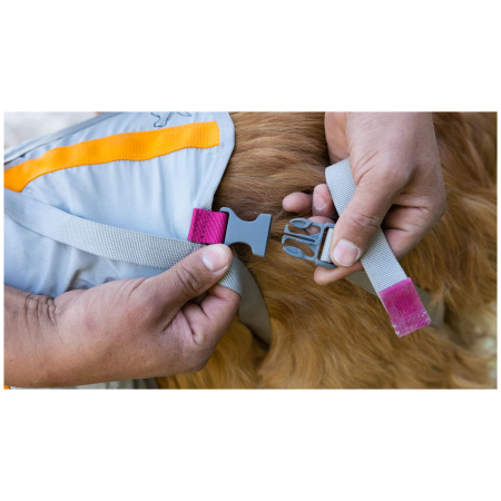 Postroj na psa Ruffwear BackTrak™ Dog Evacuation Kit