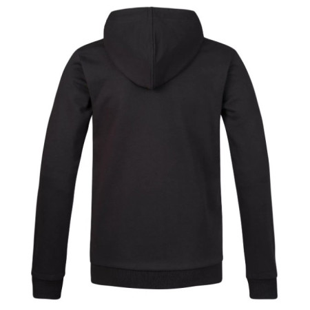 Pánska mikina Hannah Rofy Hoody