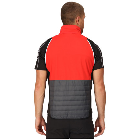 Pánska bunda Regatta Steren Hybrid