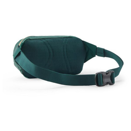 Ľadvinka Patagonia Terravia Mini Hip Pack