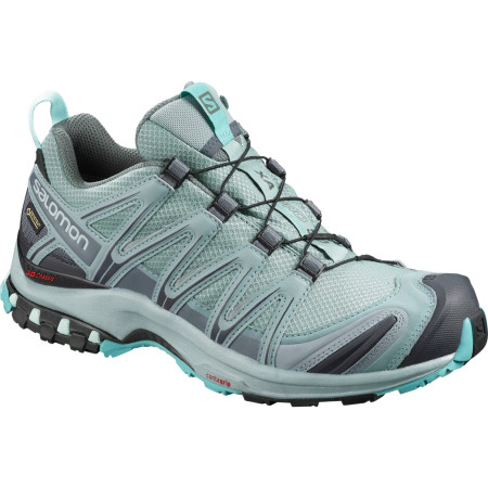 Dámske topánky Salomon XA Pro 3D Gtx® W