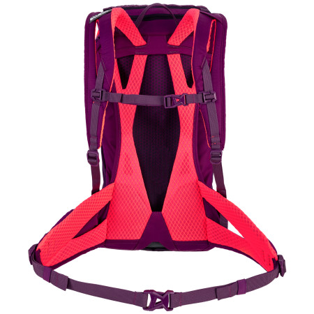 Batoh Salewa Alp Trainer 20 Ws