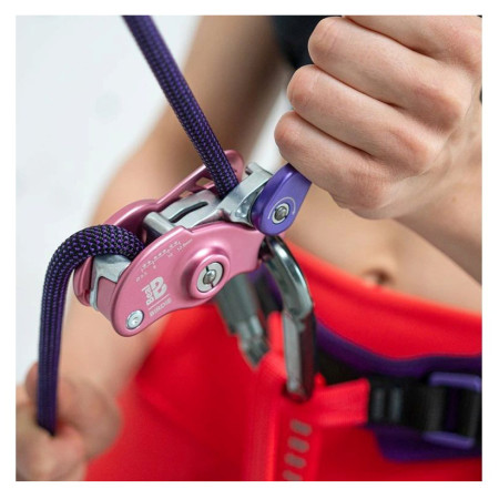 Istiacia brzda Beal Birdie