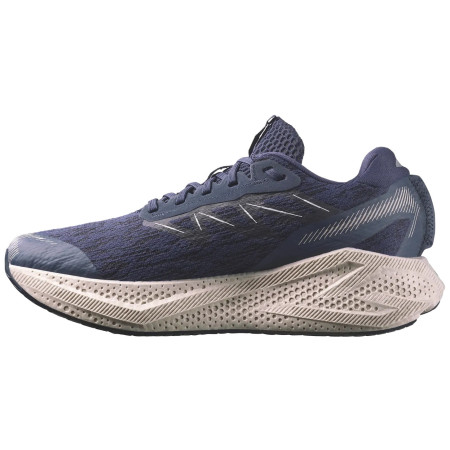 Pánske bežecké topánky Salomon Aero Glide 4
