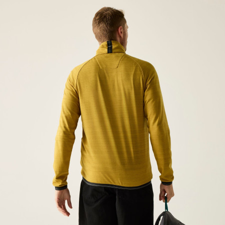 Pánska mikina Regatta Malton