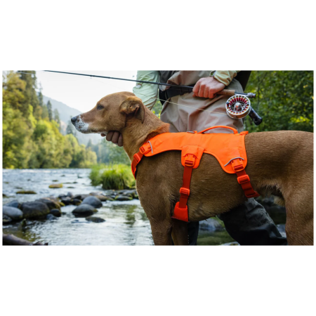 Postroj pre psa Ruffwear Web Master™ Harness