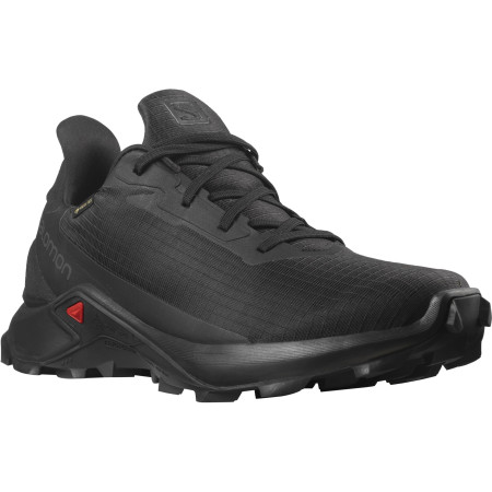 Pánske topánky Salomon Alphacross 3 Gore-Tex