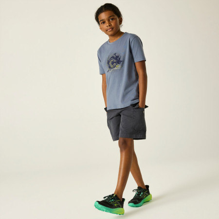 Detské tričko Dare 2b Trailbazer III Tee Mercury