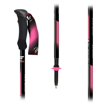 Trekové palice Fizan Compact Tech