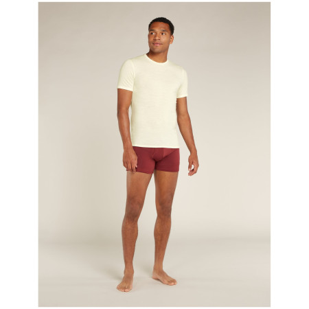 Pánske tričko Icebreaker M Anatomica SS Crewe