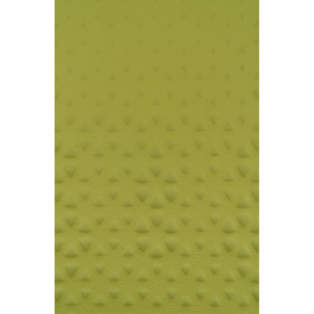 Samonafukovacia karimatka Sea to Summit Camp Mat Self Inflating Mat R