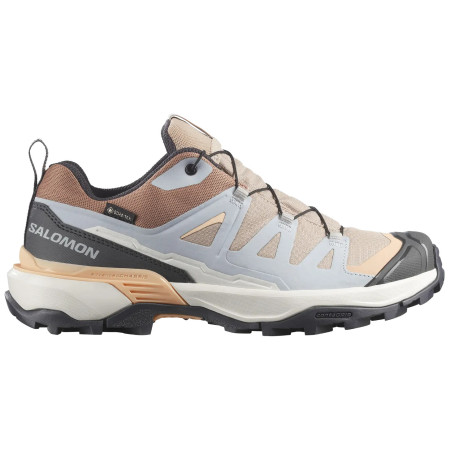 Dámske topánky Salomon X Ultra 360 Gore-Tex