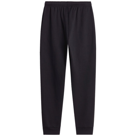 Pánske tepláky The North Face M Evolution Simple Dome Regular Jogger