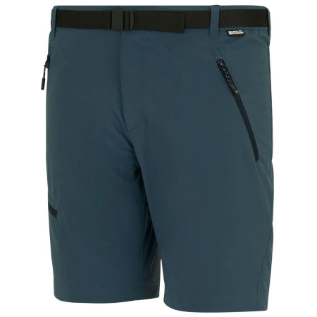 Pánske kraťasy Regatta Xert Stretch Shorts